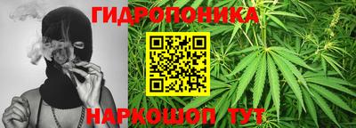 дмт Бердск