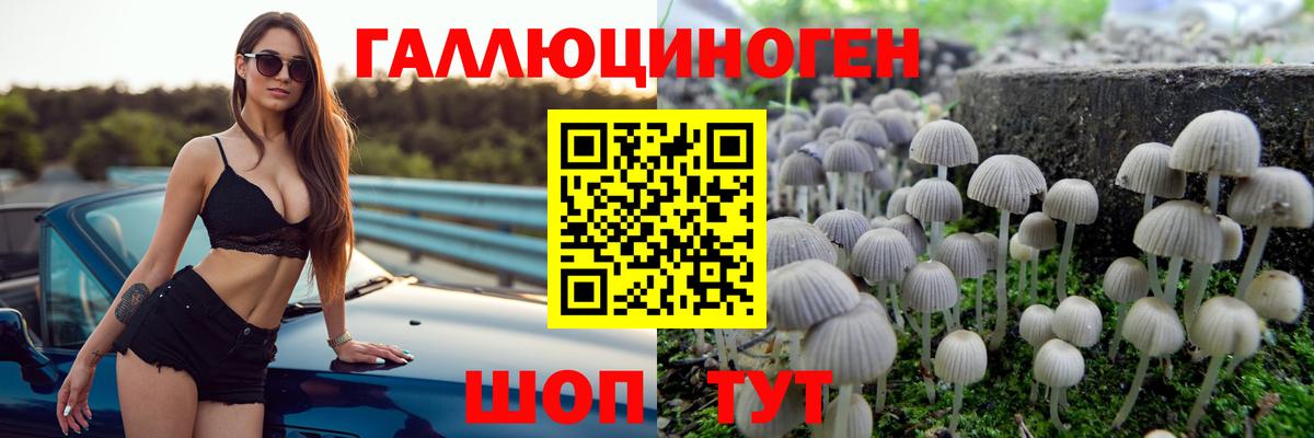 Галлюциногенные грибы прущие грибы Тамбов